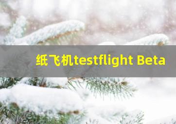 纸飞机testflight Beta